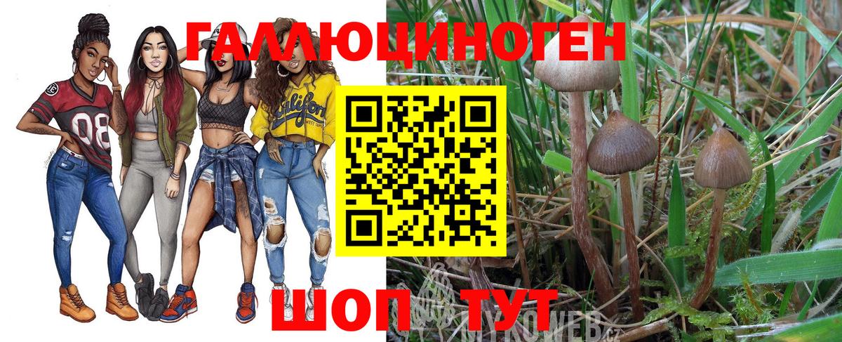 Галлюциногенные грибы GOLDEN TEACHER Выкса