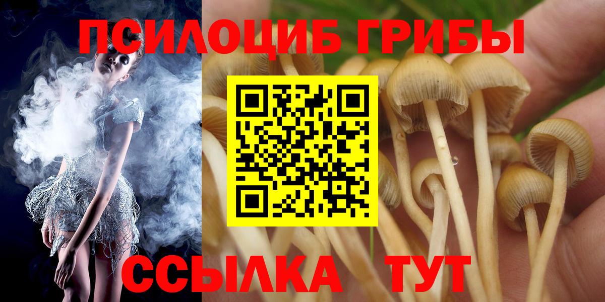 Псилоцибиновые грибы мухоморы  Галлюциногенные грибы Cubensis  Выкса  как найти закладки  Вход с VPN 