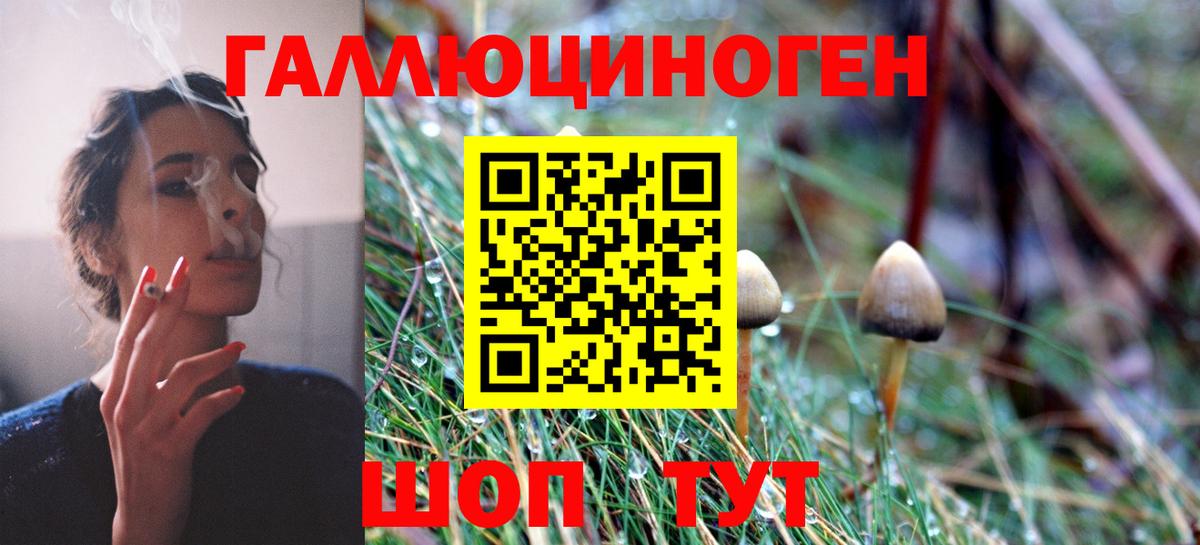 Псилоцибиновые грибы Magic Shrooms Выкса