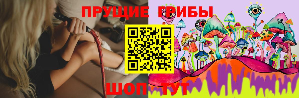 Псилоцибиновые грибы мухоморы  купить наркотик  Выкса  Псилоцибиновые грибы ЛСД 